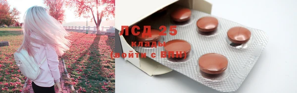 ПСИЛОЦИБИНОВЫЕ ГРИБЫ Абинск